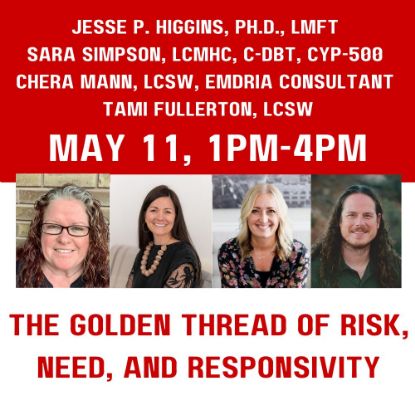 Picture of CEU Institute Session: The Golden Thread of Risk, Need, and Responsivity