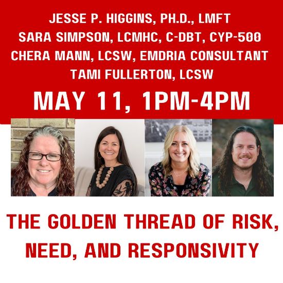 Picture of CEU Institute Session: The Golden Thread of Risk, Need, and Responsivity