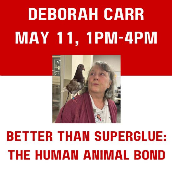 Picture of CEU Institute Session: Better than Superglue: The Human Animal Bond